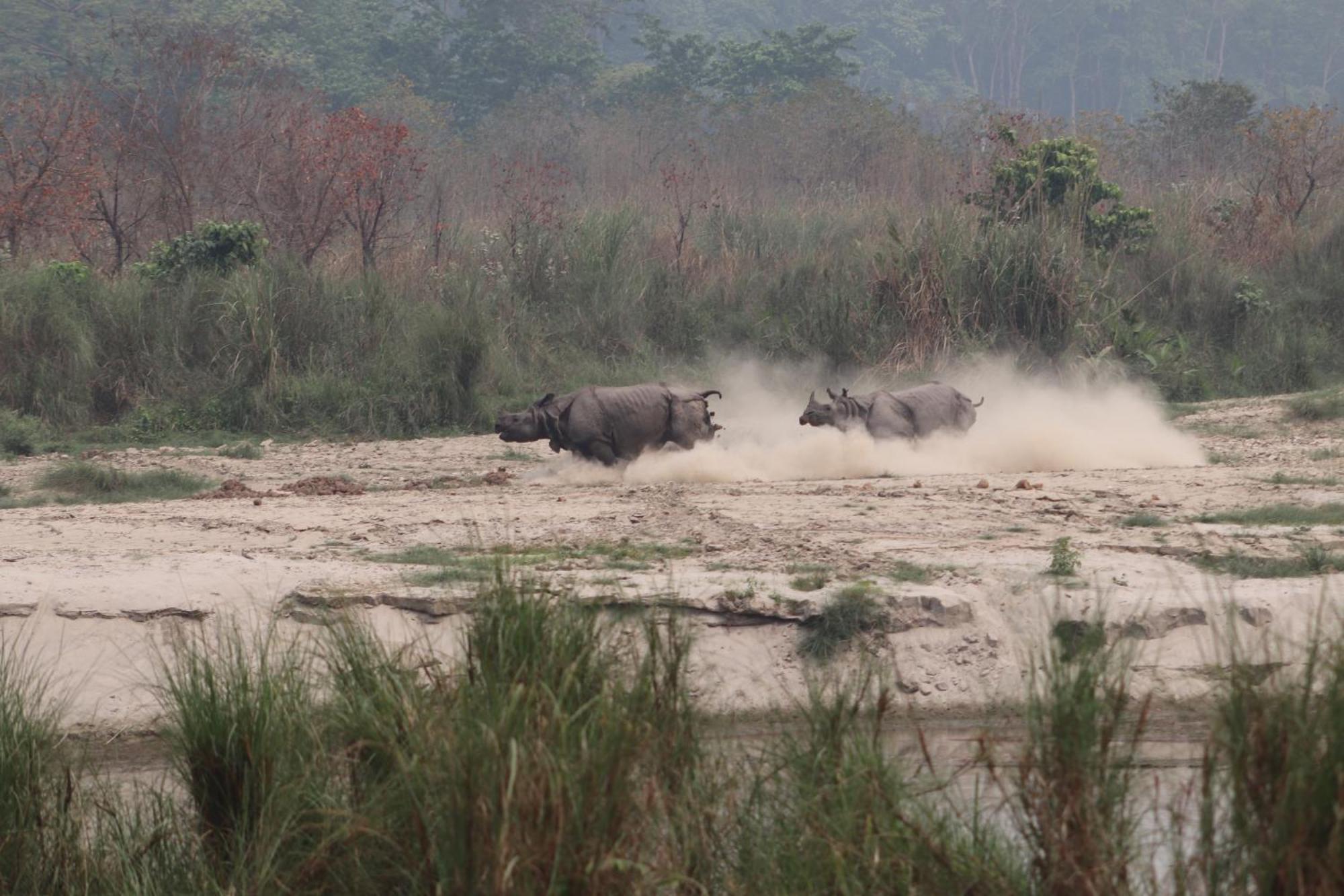 Sanctuary Chitwan National Park Читван Экстерьер фото